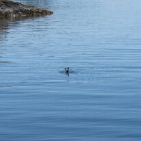 DSC00508