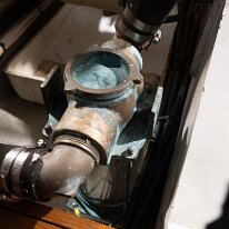 _DSC2237-2